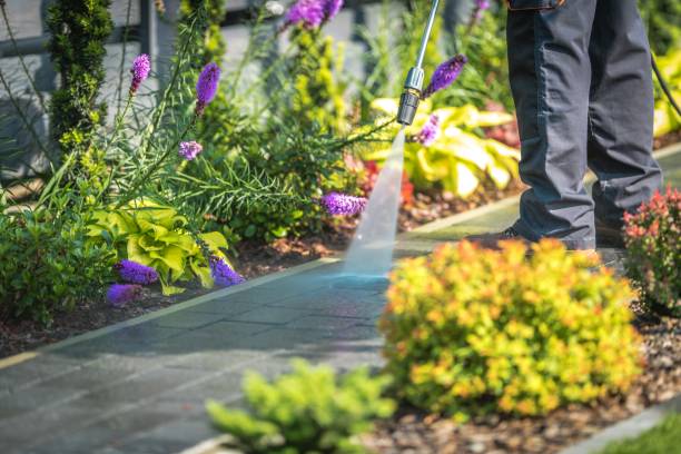 Best Restaurant Pressure Washing  in Katy, TX