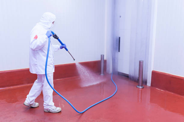 Pre-Holiday Cleaning in Katy, TX