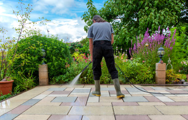 Best Fence Cleaning  in Katy, TX